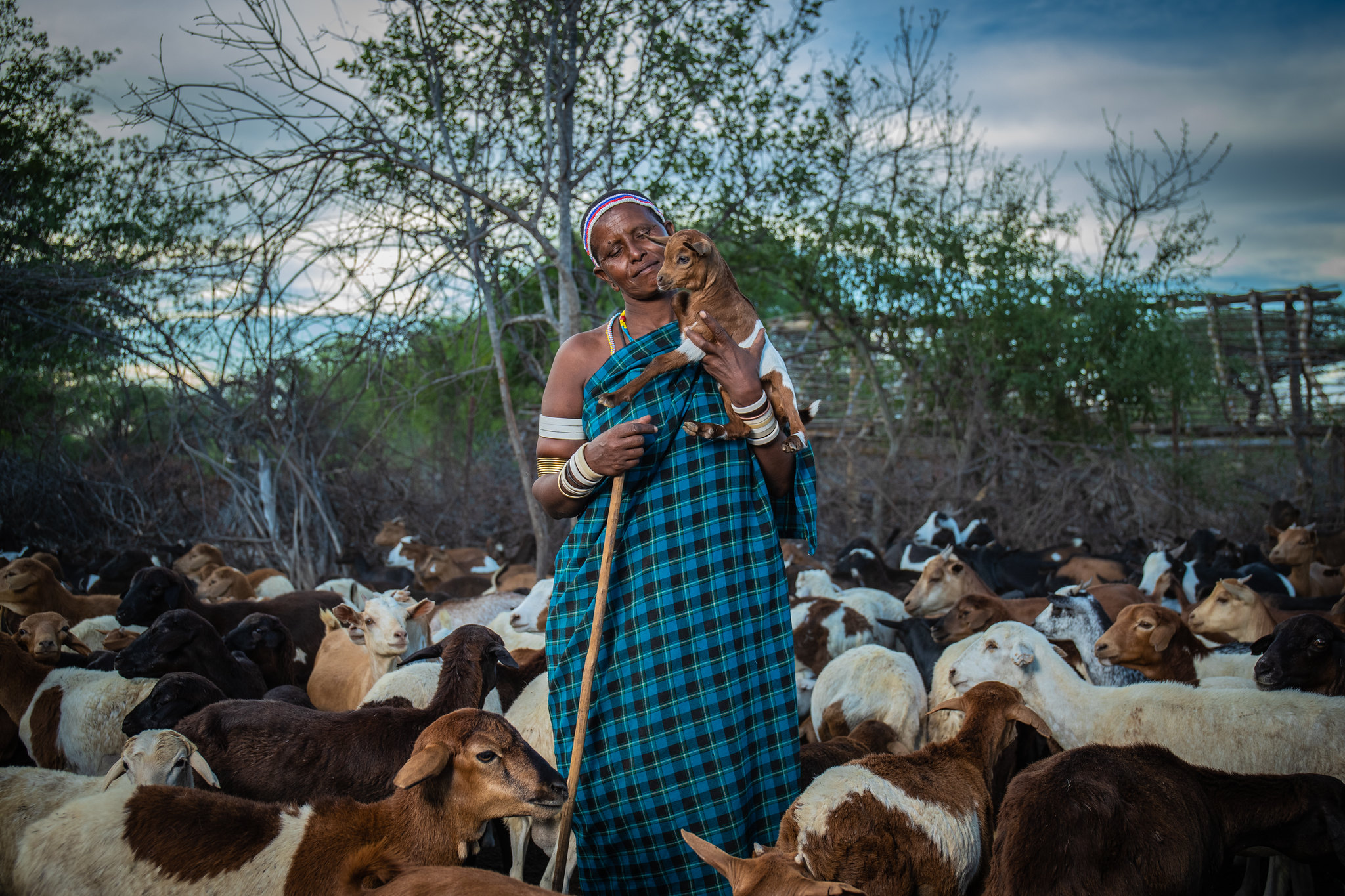 A woman and her herd of goats in Tanzania. Riaz Jahanpour, USAID